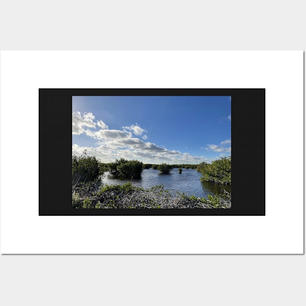 Florida Everglades Wall Art by Sparkleweather